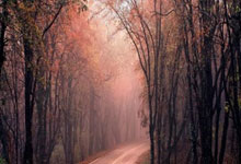 开云体育官方网站阿尔艾因训练基地开放，备战世俱杯进入冲刺阶段