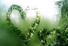 开云体育官方网站阿尔艾因训练基地开放，备战世俱杯进入冲刺阶段