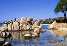 开云体育中国山城铁骑亮剑天河！重庆斯威死磕广州恒大，铁血搏三分