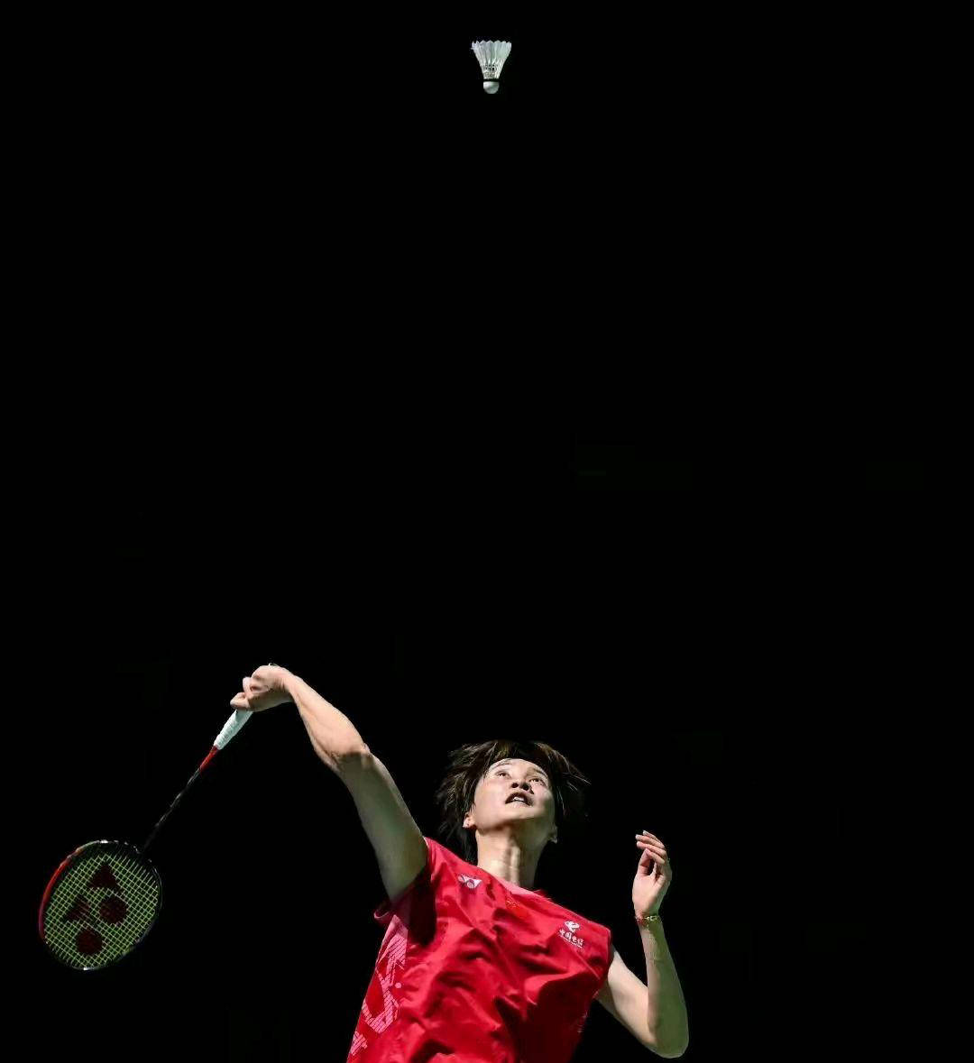 瑞士羽毛球公开赛：国羽4金2银收官的简单介绍