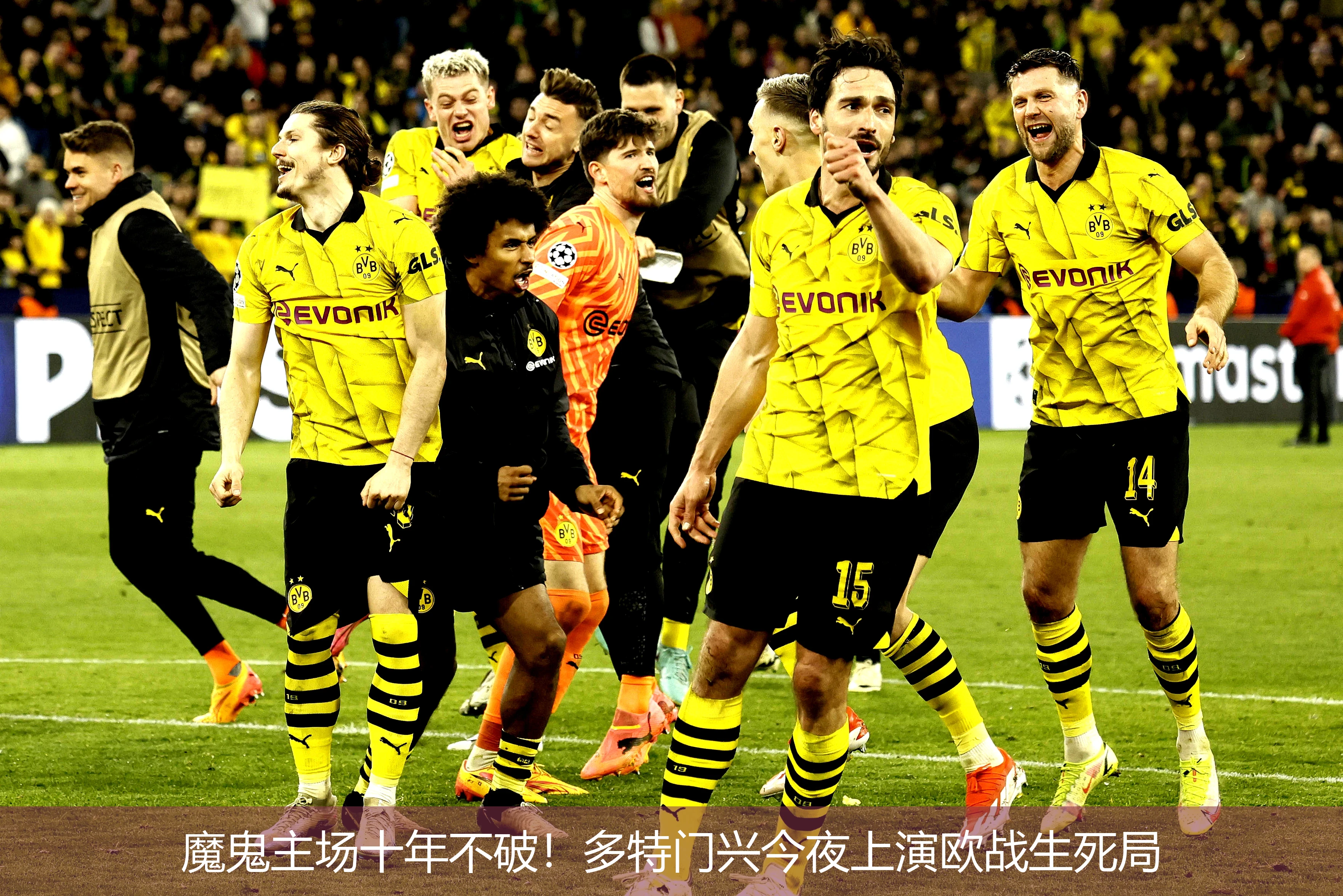 包含欧洲经典篮球大赛即将开启，威力十足球星云集的词条